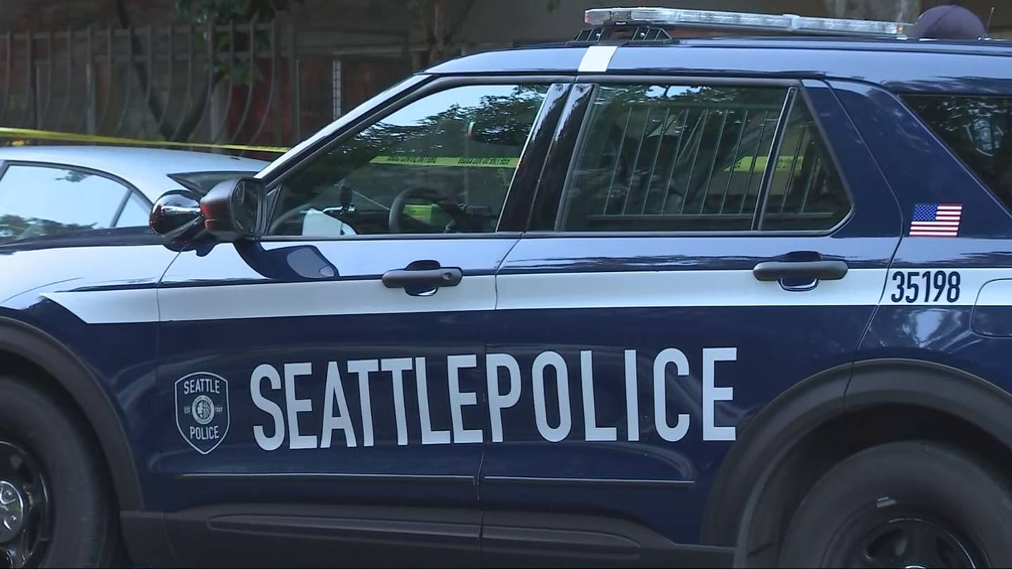 SPD: Armed good Samaritan saves pregnant woman from attacker