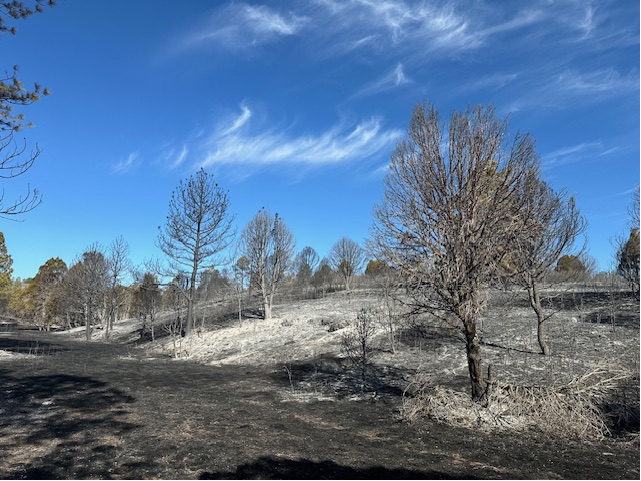 One mobile home burned in the Oakmont Fire; Blaze now down to 65 acres