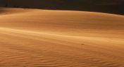 2. Namib: Skeleton Coast and Beyond