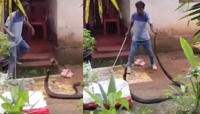 Man bravely handles highly aggressive cobra during rescue: 'This is pure courage'