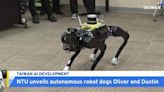National Taiwan University Team Unveils Autonomous Robot Dogs - TaiwanPlus News