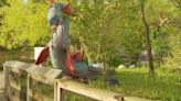 Dragons descend on Rosamond Gifford Zoo for mythical 'Dragon's Reign' exhibit