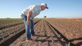 We need a farm bill that boosts farmers and the Earth, not Big Ag’s special interests | Opinion