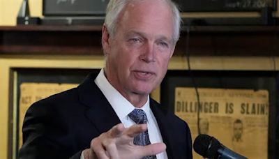 Voters should be shown what 'abortion looks like at every stage of pregnancy,' Sen. Ron Johnson says