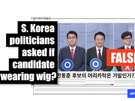 South Korea politicians quizzed on Dior bag scandal, not 'candidate's wig' in TV debate