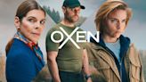 Berlinale Series Market’s ‘Oxen’ From Emmy-Award Winners Mai Brostrøm, Peter Thorsboe Sells Wide for REinvent (EXCLUSIVE)