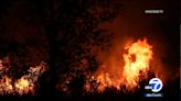 Brush fire burns 80 acres in San Bernardino County