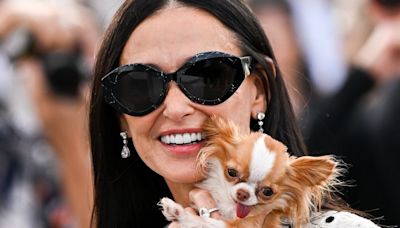 Demi Moore Brought Her Tiny Dog to Cannes