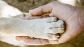 Thrift Store Shopper Finds Book Honoring Pup and It's Just So Heartbreaking