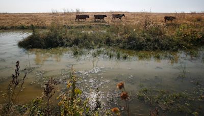 Walters: California’s fights over water rights, supplies persist