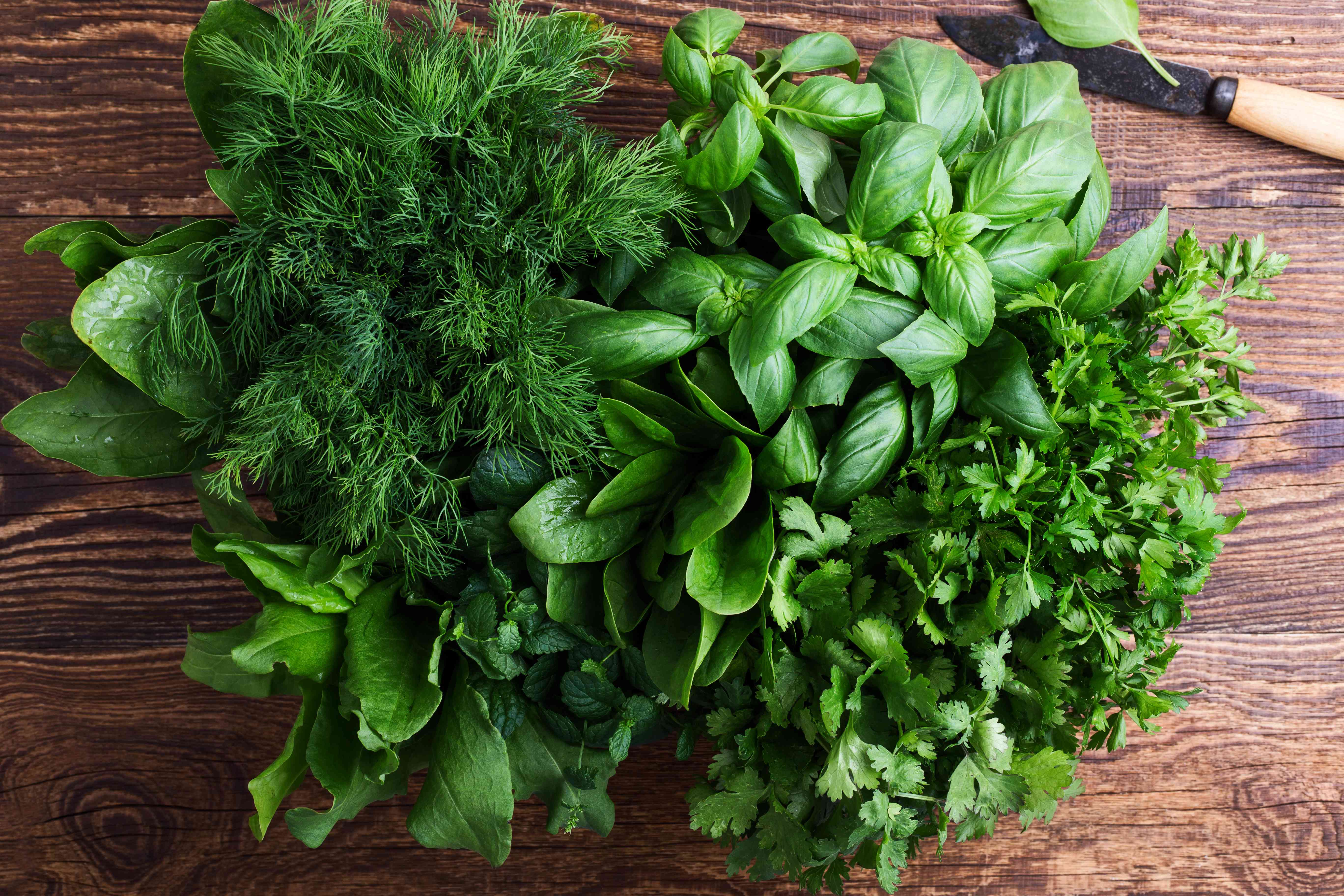 How To Store Herbs From Your Garden So You Can Cook With Them Year-Round