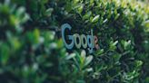 How To Remove Your Content From Google's AI Overviews