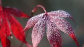 You might see frost Thursday morning in southeastern Wisconsin