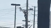 Authorities respond to calls of man climbing power pole in Hollywood