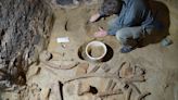 Man finds ancient mammoth bones in his wine cellar