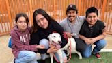 Rescue Dog Reunited with Family After He's Found Living with Coyote Pack in Nevada