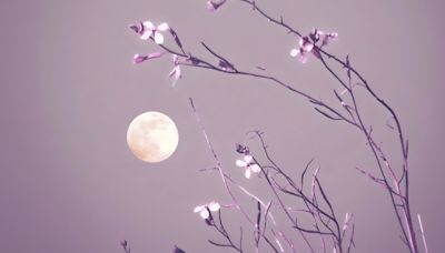 What April’s full moon in Scorpio means for you