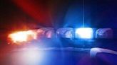 Hillsdale County deputy fatally shot pursuing suspect