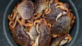 California’s Dungeness Crab Season Will Be Delayed for the Fifth Year in a Row