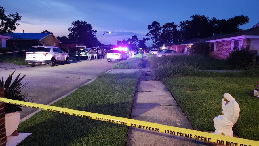 Two men found shot to death inside Avondale home