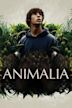 Animalia (film)
