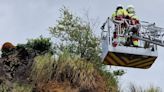 El 112 rescata a un oso joven de un risco en Cabárceno