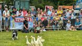 Can you spot yourself in our Royal Isle of Wight County Show photos?