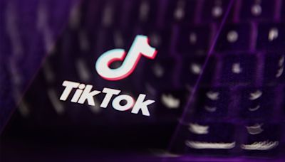 TikTok comes for Google as it quietly rolls out image search capabilities in TikTok Shop | TechCrunch