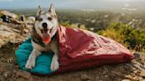 The best dog camping gear, picked by adventure dogs and their owners | CNN Underscored