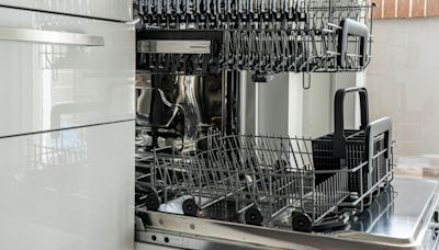 What is a dishwasher and is your typical Indian kitchen ready for one?