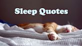 Out Like a Light—We've Got the Best 130 Sleep Quotes Before You Go Catch Some Z's!