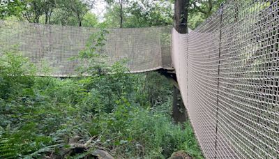 North Staffordshire beauty spot with canopy walk, giant spider, and 'hobbit hut'