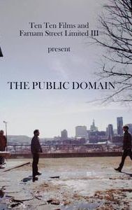 The Public Domain