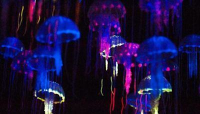 Easy DIY: Glow-In-The-Dark Jellyfish Craft for Kids