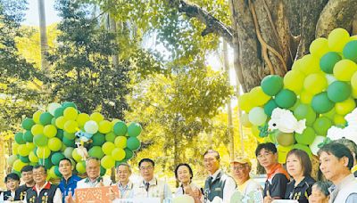 14棵樹齡逾300年 台南推老樹巡禮