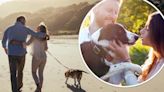 Would you get a prenup for your pup? Pet owner reveals nightmare legal fight over pooch with ex