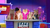 Serious Kids & Keyframe Pact for Cats React to Facts - TVKIDS