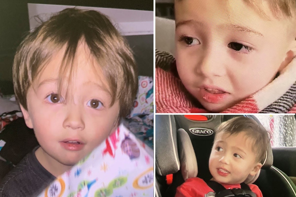 Police demand ‘less distractions’ from ‘social media sleuths’ in search for missing toddler Elijah Vue