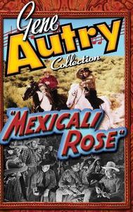 Mexicali Rose (1939 film)