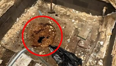Couple discovers creepy hidden tunnel under their home