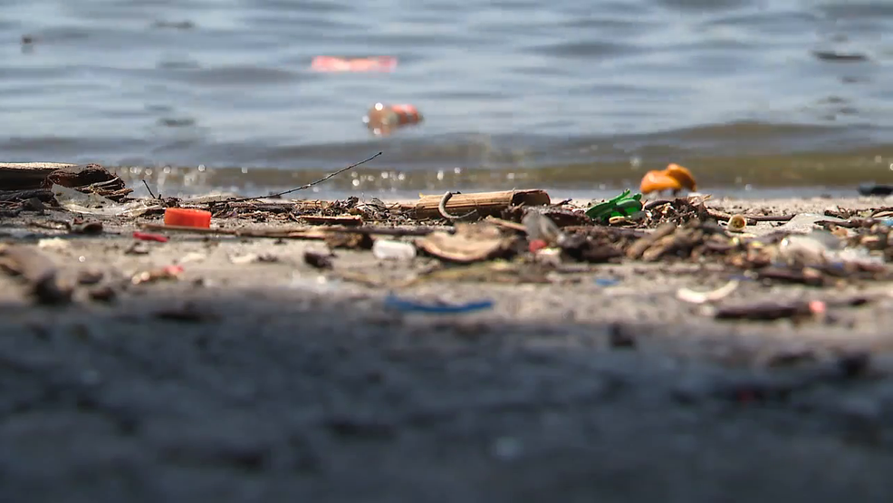 Is the Inner Harbor really safe to swim in? FOX45 runs independent water quality test