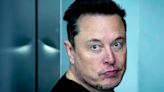 Elon Musk Amplifies Bizarre Post Suggesting 'High Status Males' Should Run Government