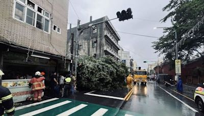 凱米颱風災情又一起！彰化鹿港樹倒壓垮民房…60歲男一度受困屋內