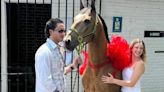 Cuánto cuesta el caballo que Mía Rubín recibió como regalo por su primer aniversario con Tarik Othon