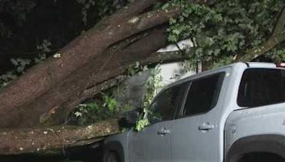 Confirmed microburst damages homes, cars and topples 150 trees in NH