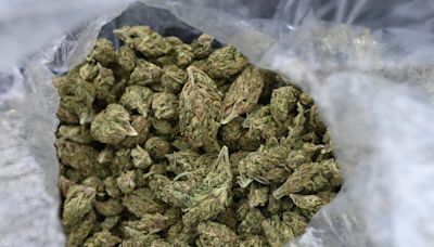 Woman tried to board flight at Memphis Airport with 56 pounds of marijuana: Reports