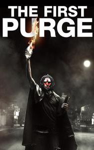 The First Purge