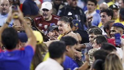 Darwin Núñez a la lista: Un recuento por las peleas más escandalosas entre hinchas y deportistas - El Diario NY