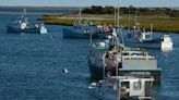 'Until the last fish is gone.' Cape Cod fishers worry trawling is depleting sea herring.