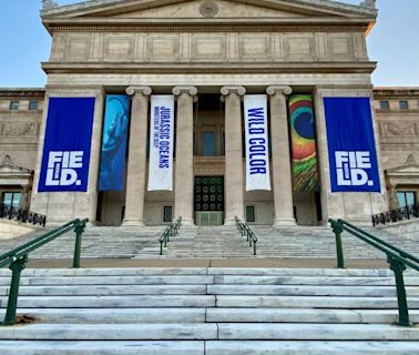 6 Chicago museums to offer free days on Juneteenth